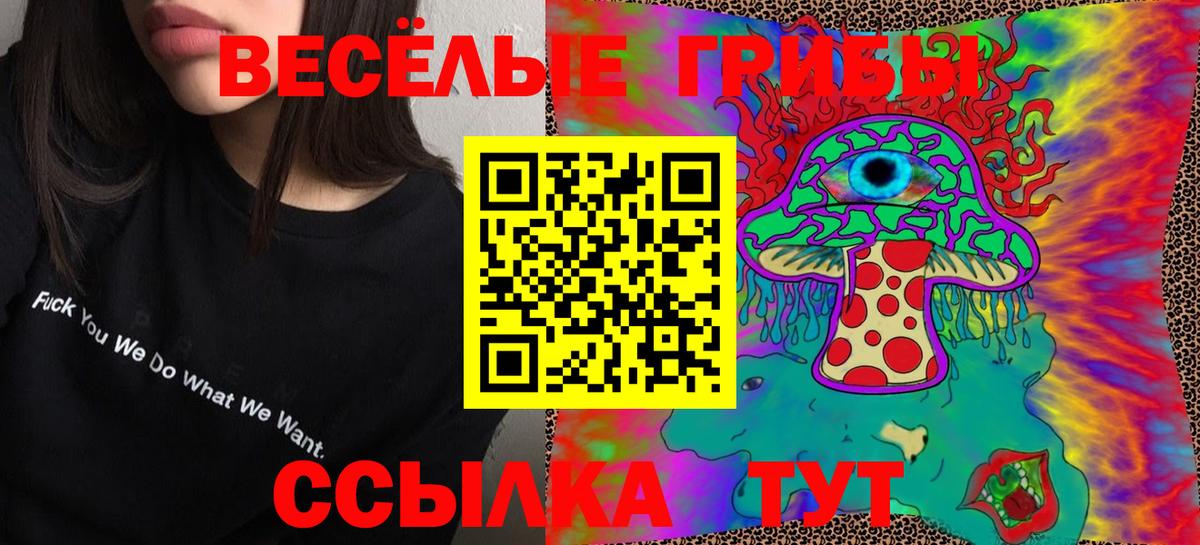 Псилоцибиновые грибы Magic Shrooms Дивногорск